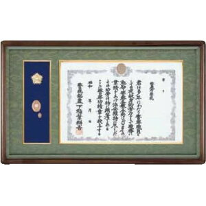 i݂сj xď́Ex@я͊z@M-110