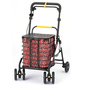 VbsO@xXgp@ԕ@BP-FW@֎qtA~SJ[@EBY