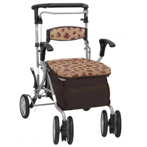 fIST@t[BE {bNX^Cv@Vo[J[@쏊