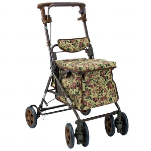 Ag@ԕBR@~h^CvVo[J[@쏊