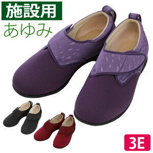 EBOXgb`1102(3E) {݁E@pV[Y  Y