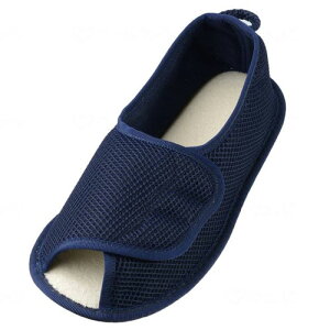 }WbNI[v2503@I[v^Cv@݁@Y