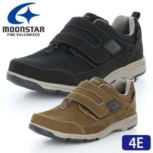 SPLT M194y4EzOopV[Y@jpC@[X^[