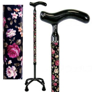 I[J[{NIbhPCl_ ԕNB(70C-F4) _ 4_ 쏊yېŁz