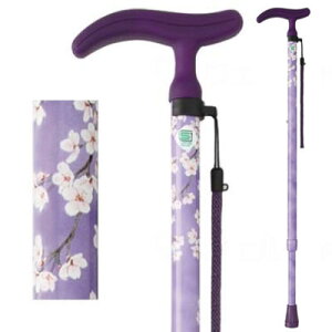 ANeBu O[X LkS p[v WB3751 tWz[