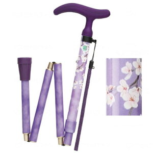 ANeBu@O[X@܏S@p[v@WB3753@܂肽ݏ@ԕ܂ݏ@tWz[