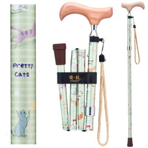 veBLbcV[Y yCgO[AN-13zL PCEzXsA