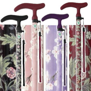 ANeBu O[X LkS ԕ@tWz[