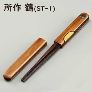  (ST-1) 傳 pgїp pHp ECh