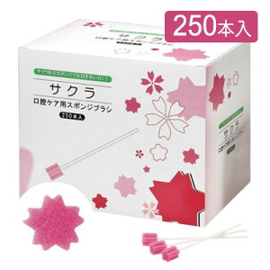 oPApX|WuV@TN@250{@SAK250@ēH