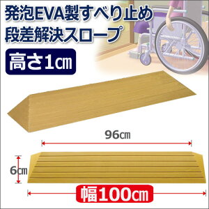 iX[v^b`X[v(100×1cm) TS100-10 X[v i VGCeNm
