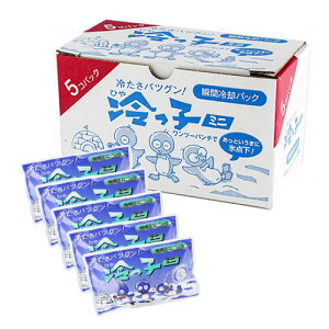 瞬間冷却パック 冷えっ子ミニ 5個入  サンケイ商事
