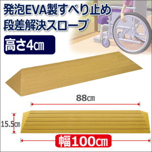 iX[v^b`X[v(100×4cm) TS100-40 X[v i VGCeNm
