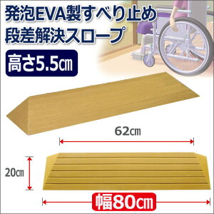 �i�������X���[�v�^�b�`�X���[�v(��80×����5.5cm) TS80-55 �i�������X���[�v �V���G�C�e�N�m