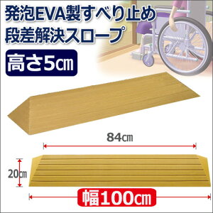 iX[v^b`X[v(100×5cm) TS100-50 X[v i VGCeNm