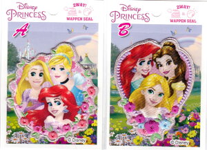 Disney@vZX@bysԁELTCYtyV[/ACڒz