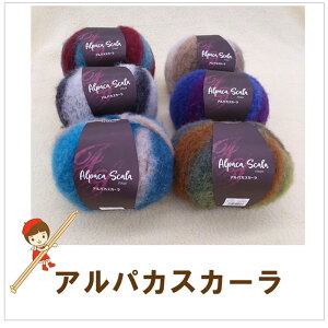 y_ChюzyApJXJ[zȓF3ʓX[p[t@CApJgpC^A