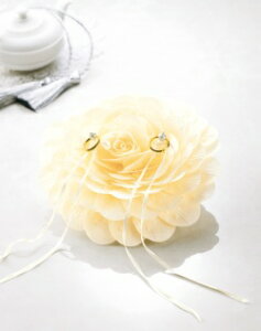 ������L�b�g���p�i�~�������O�s���[�@�gFiore(�t�B�I�[��)�h�V�����p���S�[���hrp-23