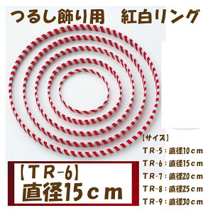 邵pygOzyTR-6@a15cmz3cm䂤pPbg[OK