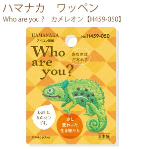 ���������y����3�����z�y�n�}�i�J�z�y���b�y���zWho are you ?�@�J�����I���yH459-050�z