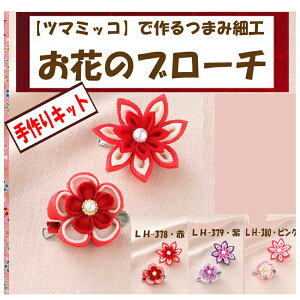 2cm䂤pPbg[OKpi~ELbgȂL[gȂ炫܂ݍ׍HyԂ̃u[`zyLH-378ԁzyLH-379zyLH-380sNz