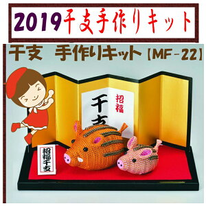 ňl풆pi~ ^bN[ōLbgy^㏸zyNzyMF-22z䂤pPbg֕s