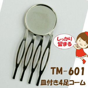 䂤pPbgΉMt4R[ Vo[TM-601