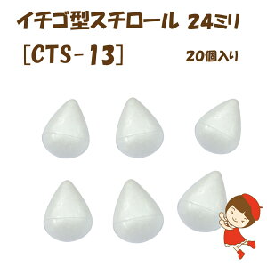 C`S^X`[E^X`{[yCTS-13z120蒼a24mm3cm䂤pPbg