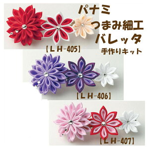 2cm䂤pPbg[OKpi~ELbgȂL[gȂ炫܂ݍ׍Hyob^zyLH-405ԁzyLH-406zyLH-407sNz