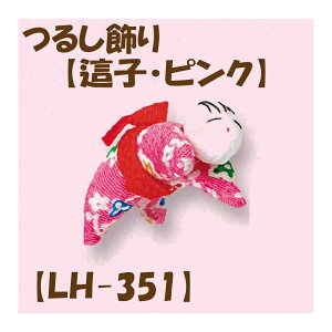 2cm䂤pPbg[OKLbg y邵pp[czyLH-351EqEsNz