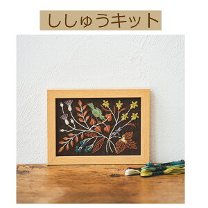 yLbg }JxAXhイLbg@lG̃t[z7539@Hy3cm䂤pPbgz