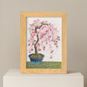 yLbg 12BONSAIi~́j`}[EJg[k@RNV`@7614@3 } Â{lɈĂ̒ŁA}̓\CVm⑁A34