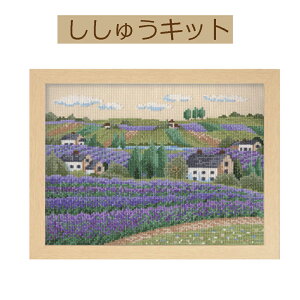 yLbg t[K[fyԂ̍炭izz7311 x_[y3cm䂤pPbgz