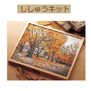 yLbg lGʂ̎z7108 H[܂ y3cm䂤pPbgz