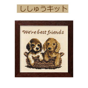 yLbg DOGS&CATSz7272@xXgtYy3cm䂤pPbgz