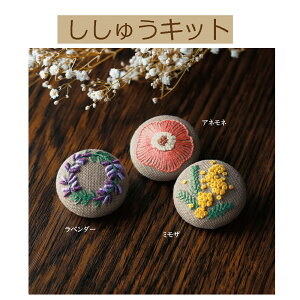 yLbg GARDEN PARTY@tXhイ@݃{^zGP-K5 @Level2y3cm䂤pPbgz