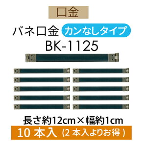 3cm䂤pPbgňSol10{yBK-1125EAgz
