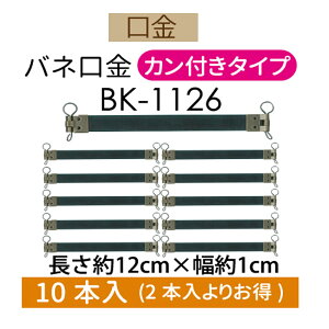 3cm䂤pPbgňSol10{yBK-1126EAgz