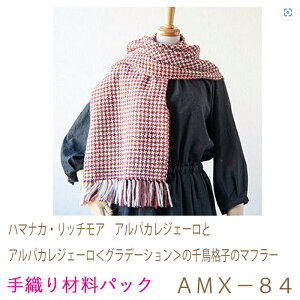 n}iJEb`A@ApJWF[ƃApJWF[Of[V̐璹iq̃}t[AMX|84D@ō܂Bił͂܂B