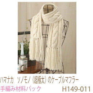 n}iJ@\mmsɑt̃P[u}t[H149-011ił͂܂B