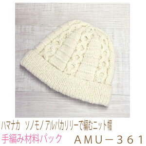 ハマナカ ソノモノ アルパカリリーで編むニット帽AMU−361完成品ではありません。手編み材料パックです。(糸と編み図だけが入っています。ボタン、ファスナー等は入っていません。)