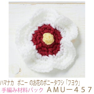 n}iJ@{j[ ̂Ԃ̃{j[^VutEvAMU[457ił͂܂B҂ݍޗpbNłBiƕ҂ݐ}Ă܂B{^At@Xi[͓Ă܂B