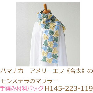 n}iJ@A[Gtst̃Xẽ}t[H145-223-119ił͂܂B