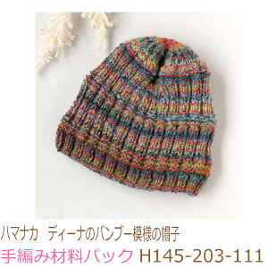 n}iJ@fB[ĩou[͗l̖XqH145-203-111