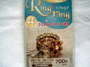 OO@3@wւ܂@r[Yō郊O@g[z[r[Y