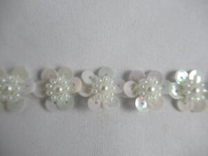 Ԃ̃XpR[̃u[h@24cmJbgA34cmJbg