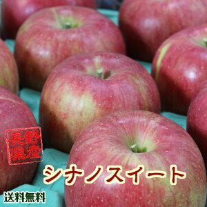   쌧Y VimXC[g 5kg