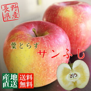 MBY  tƂ炸 Tӂ 5kgi12-18ʁj  n S͂܂B