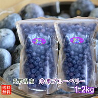 加工用 訳あり 長野県産 冷凍ブルーベリー ・無選別 1.2kg（600g×2) ジャム スムージー パンケーキ お菓子