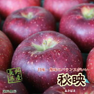 りんご 送料無料 長野県産 秋映 約2.8kg (7〜9玉）